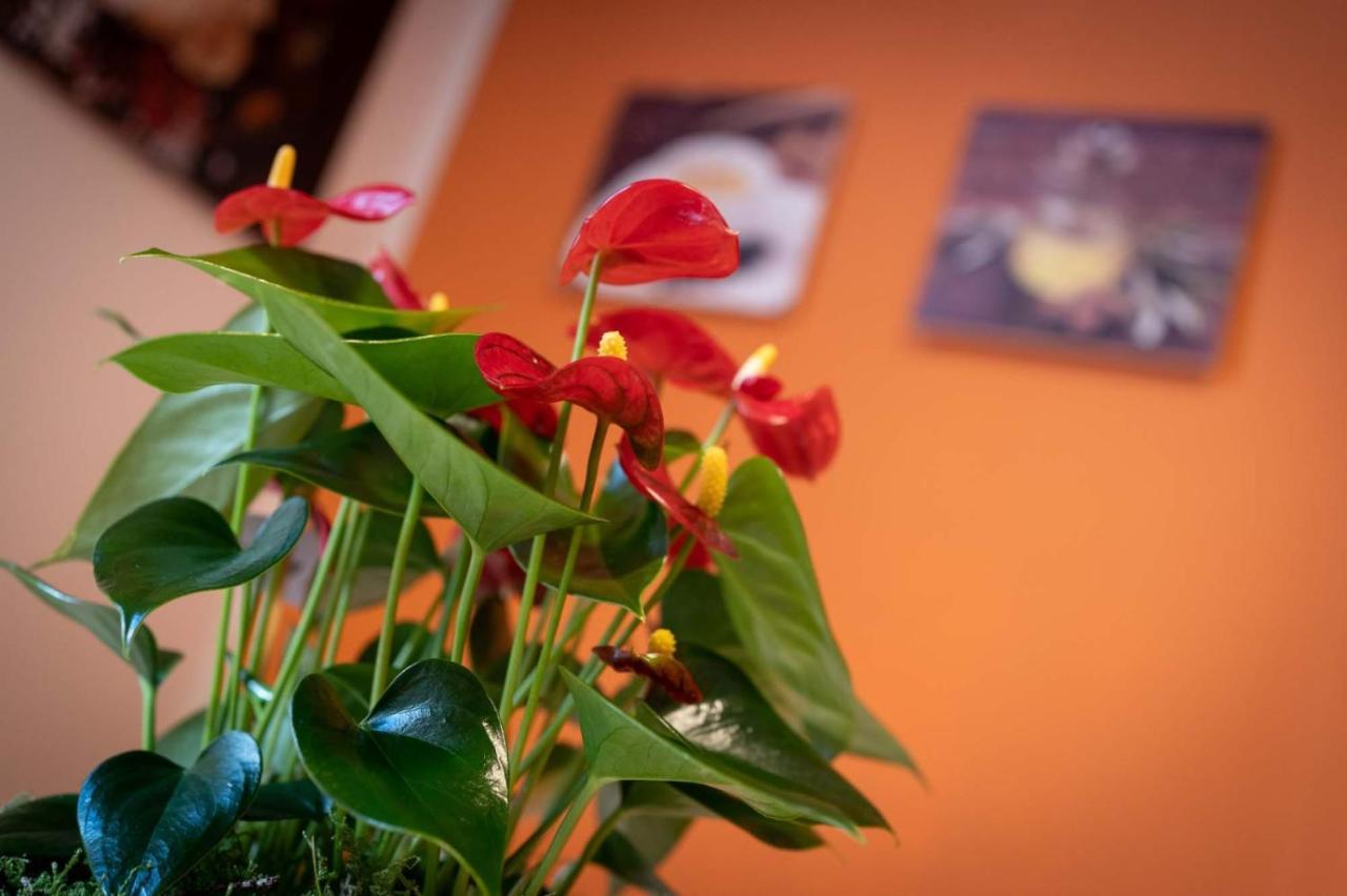Casa Martina- Airport Free Shuttle-H24 Appartement Bergamo Buitenkant foto
